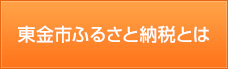 東金市ふるさと納税とは