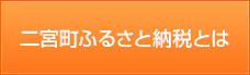 二宮町ふるさと納税とは