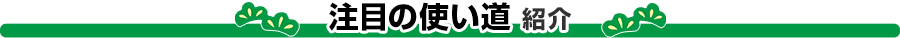 注目の使い道紹介