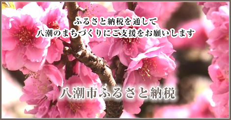 埼玉県八潮市