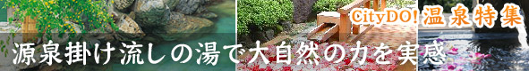 ����|�������̓��ő厩�R�̗͂�����
