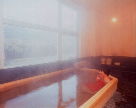 清流日高川を望む、総檜造りの湯船の温泉浴場。