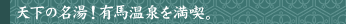 �V���̖����I�L�n����𖞋i�B