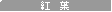 �g�t