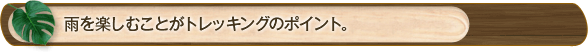 雨を楽し3むことがトレッキングのポイント。