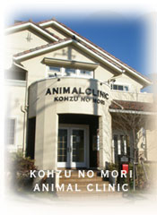 公津の杜動物病院|成田市|動物病院