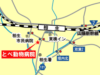 とべ動物病院｜相生市｜動物病院