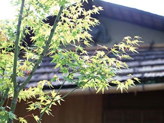 ワタナベ畳店｜ひたちなか市｜畳