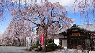 日蓮宗　身照寺｜花巻市｜寺院