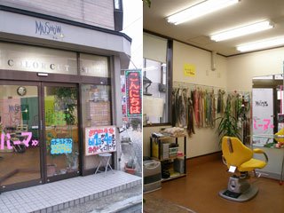 ��������݁@���ρ`MUSHOW�`�b���B�s�b���e��