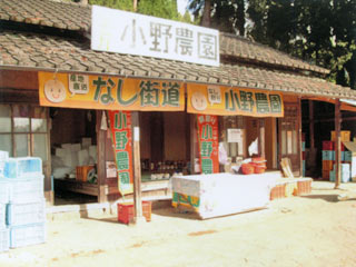 観光梨狩り　小野農園｜由布市｜観光農園