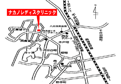 �i�J�m���f�B�X�N���j�b�N�b�͓�����s�b�Y�ȁE�w�l��
