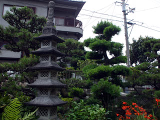 西川泉樹園｜堺市西区｜造園・設計・施工・管理