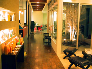 Loop hair�b�{���s�b���e