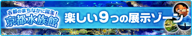 古都のまちなかに誕生！京都水族館 楽しい９つの展示ゾーン