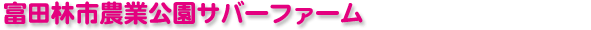 �x�c�юs�_�ƌ����T�o�[�t�@�[��