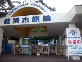 水族館 桂浜