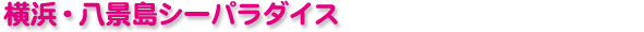 ���l�E���i���V�[�p���_�C�X