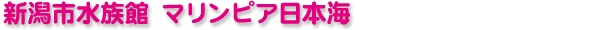 �V���s������ �}�����s�A���{�C